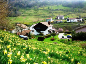 Gîte La Bresse, 3 pièces, 4 personnes - FR-1-589-97